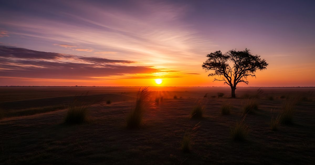 Safari Travel in Africa: What It Really Looks Like