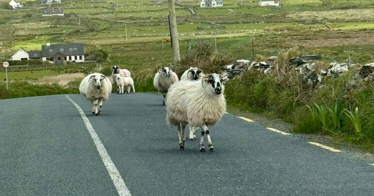 Best Time to Visit Ireland: A Month-by-Month Guide