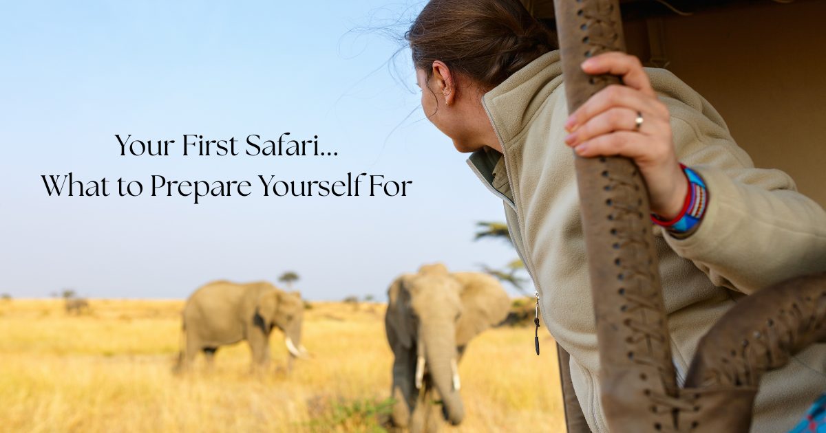 Your First Safari: What to Prepare Yourself For