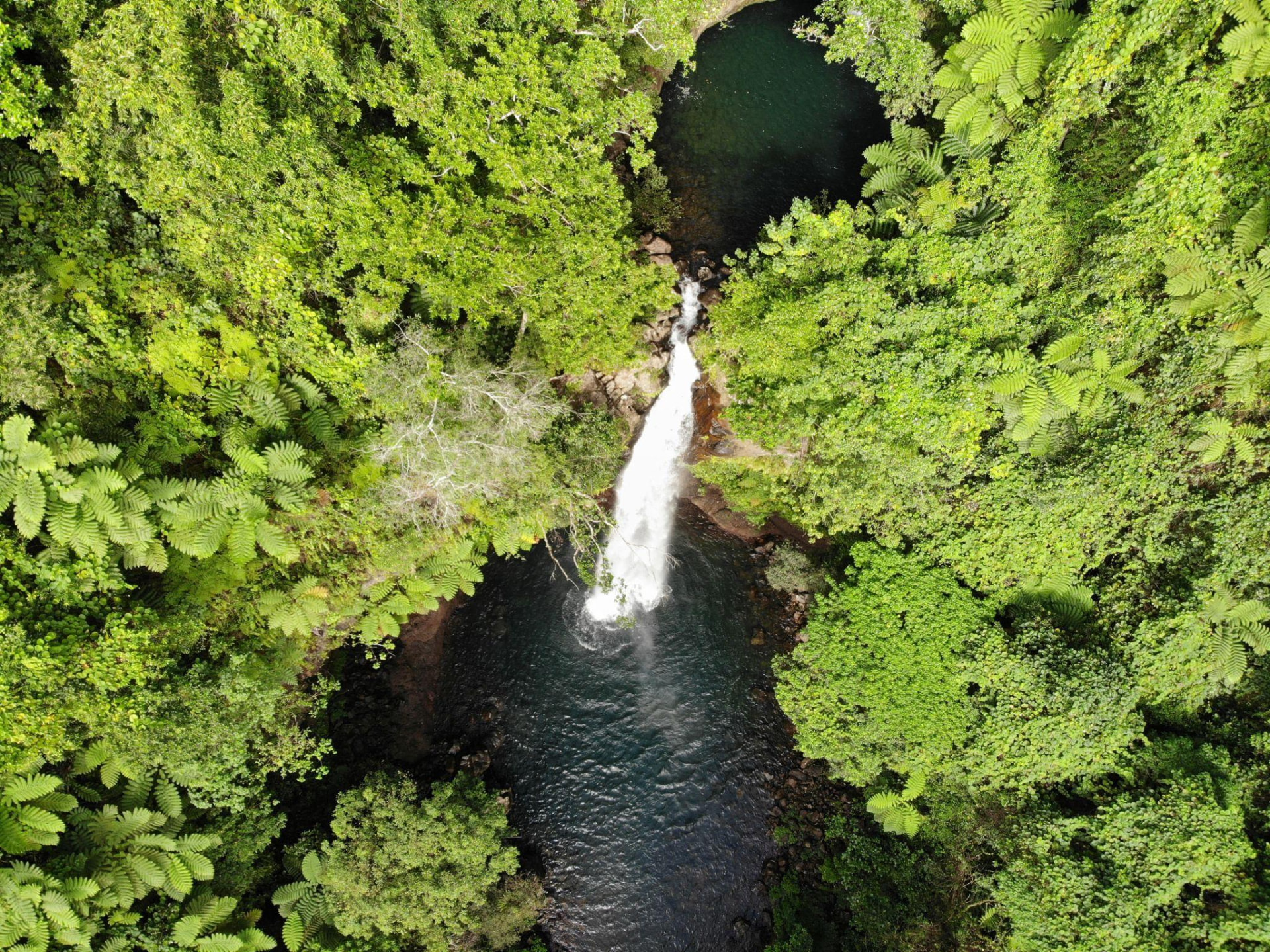 Aerial view of a waterfall emptying into a dark rainforest pool on Taveuni, Fiji