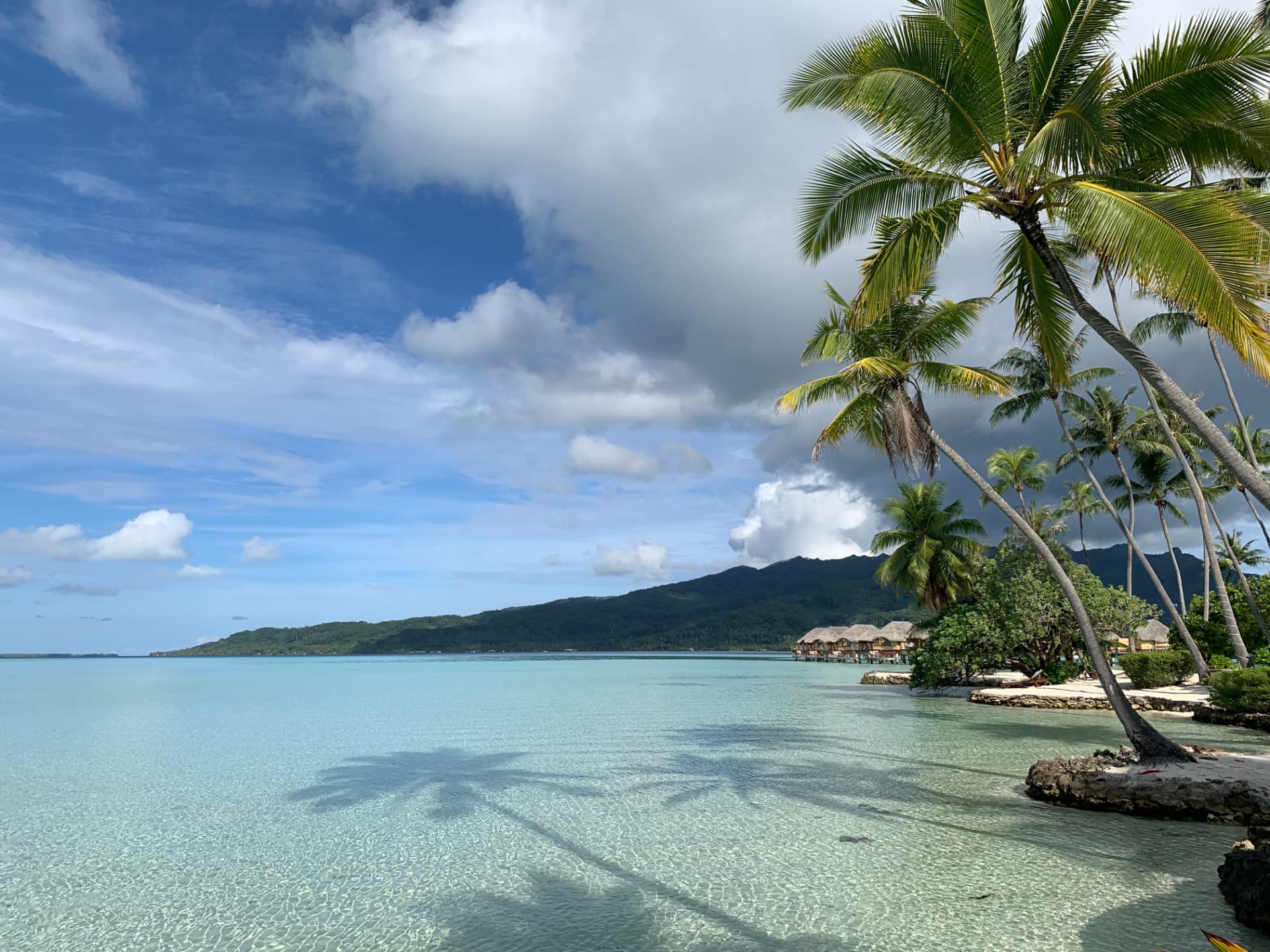 Palm trees leaning over the clear lagoon on Taha'a, French Polynesia