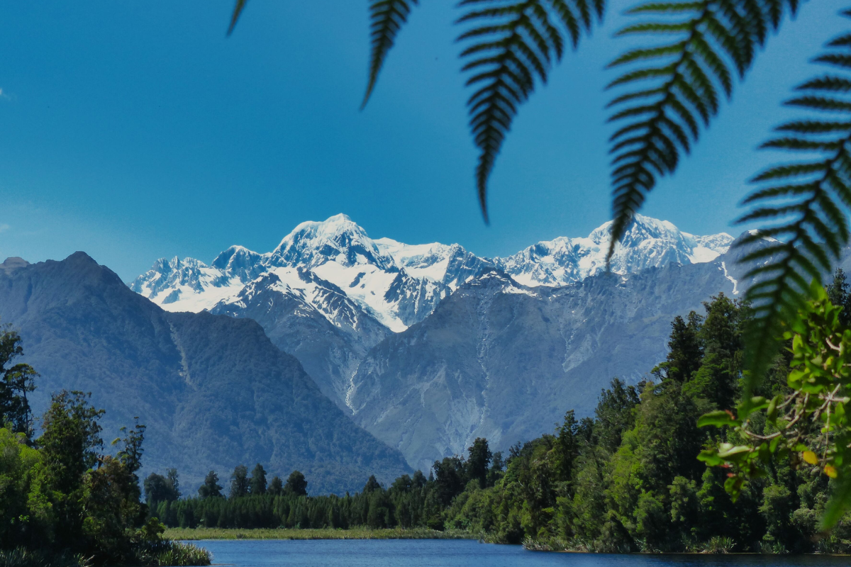 New Zealand landscape