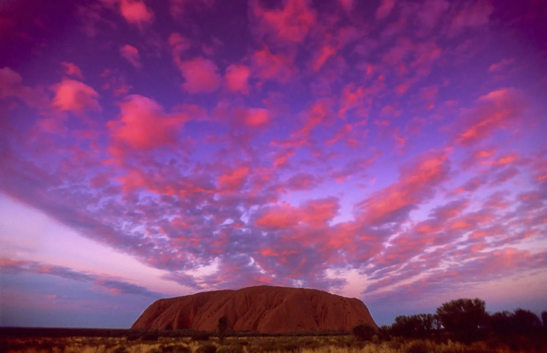 Uluru at sunset under a pink and purple sky, Red Centre, Australia