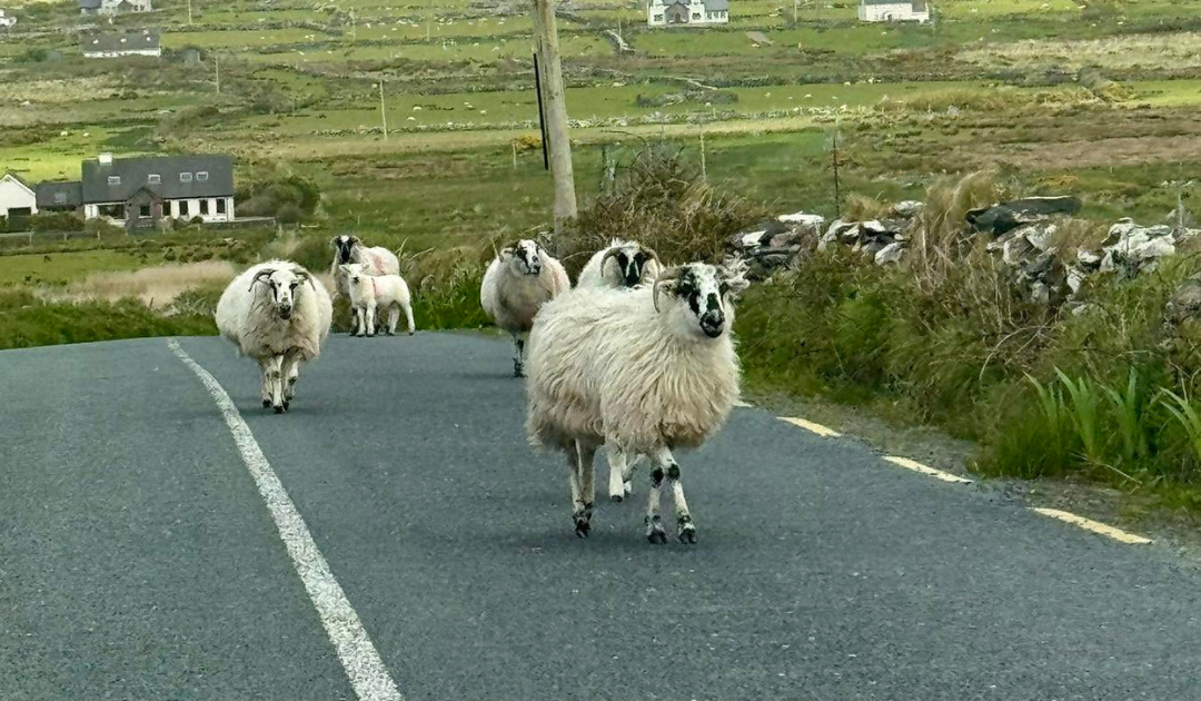 Best Time to Visit Ireland: A Month-by-Month Guide