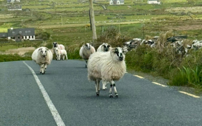 Best Time to Visit Ireland: A Month-by-Month Guide