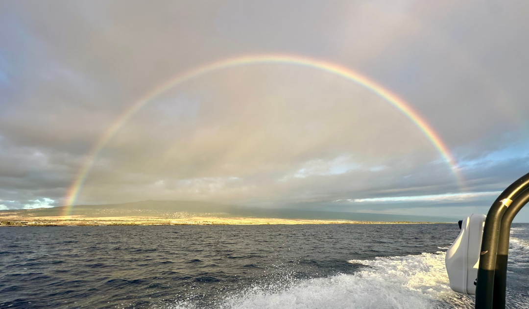 What Hawaii Taught Me About Luxury Travel
