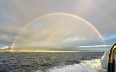 What Hawaii Taught Me About Luxury Travel