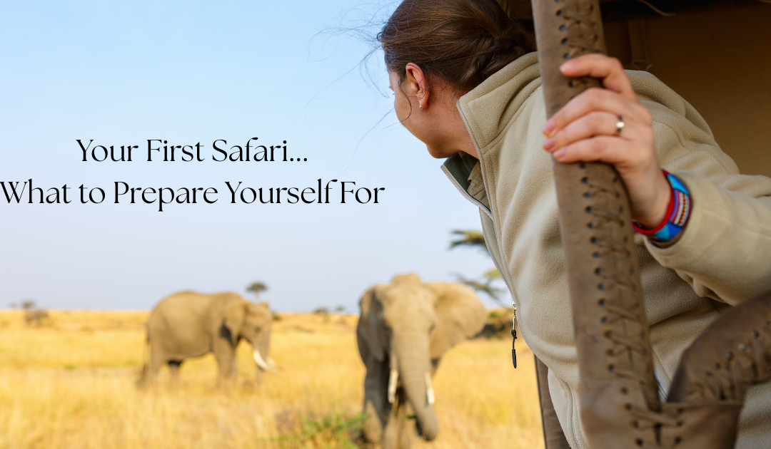 Your First Safari: What to Prepare Yourself For