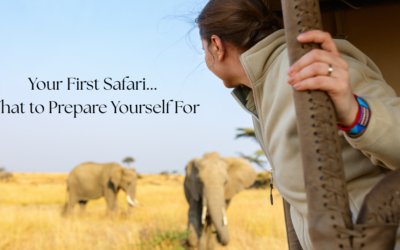 Your First Safari: What to Prepare Yourself For